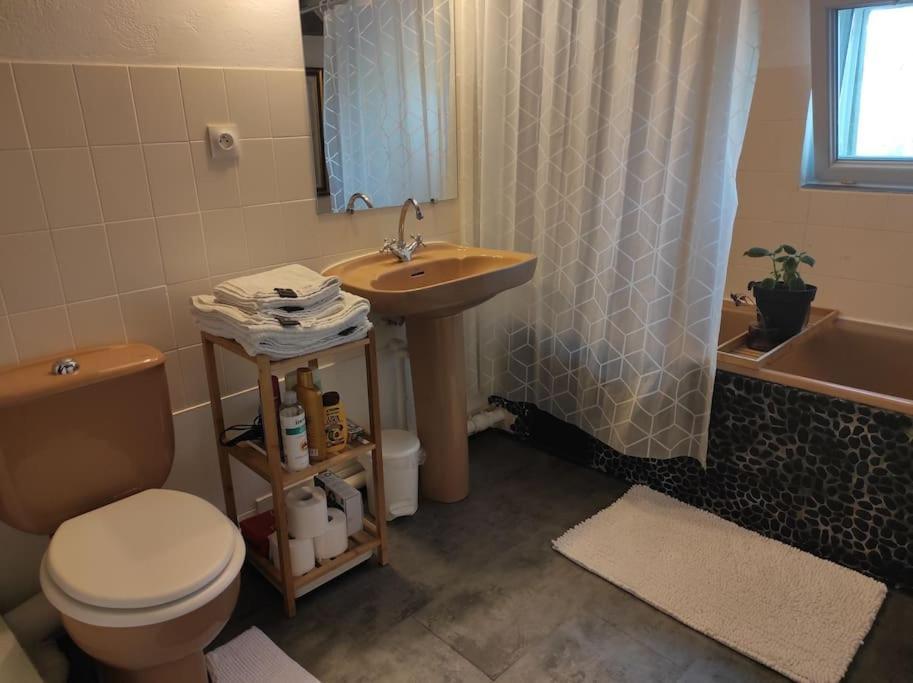 Appartement De Charme Coeur Historique Périgueux المظهر الخارجي الصورة